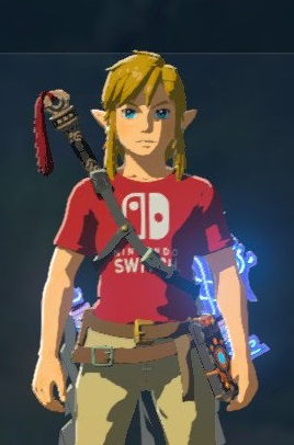 This shirt.
